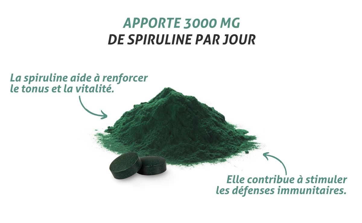 Spiruline - ingrédients